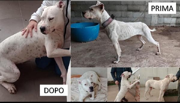 💔 OPI: Una vita in attesa di amore 💔 Foto 5